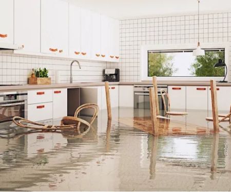 Fix It Water Damage and Mold Repair