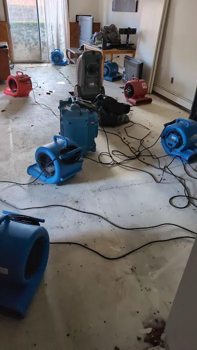 Rapid Response Picture 2