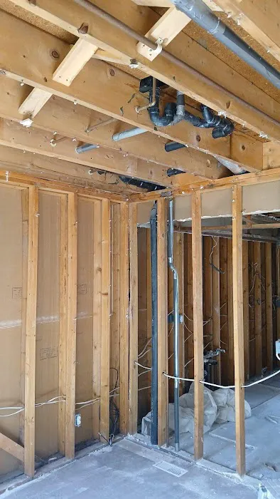 Rapid Response Picture 5