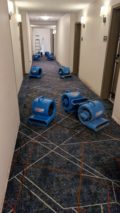 Rapid Response Picture 10