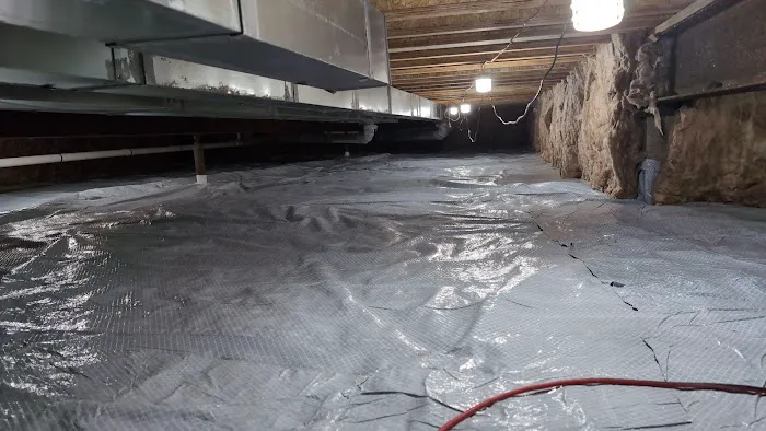 Rapid Response Picture 8