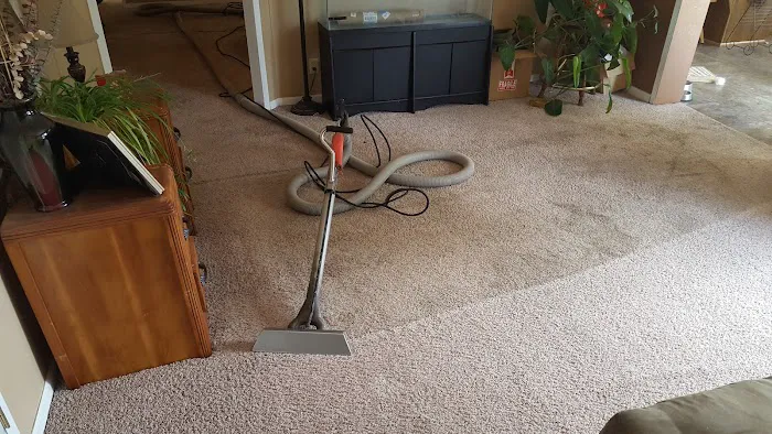 Stanley Steemer Picture 6