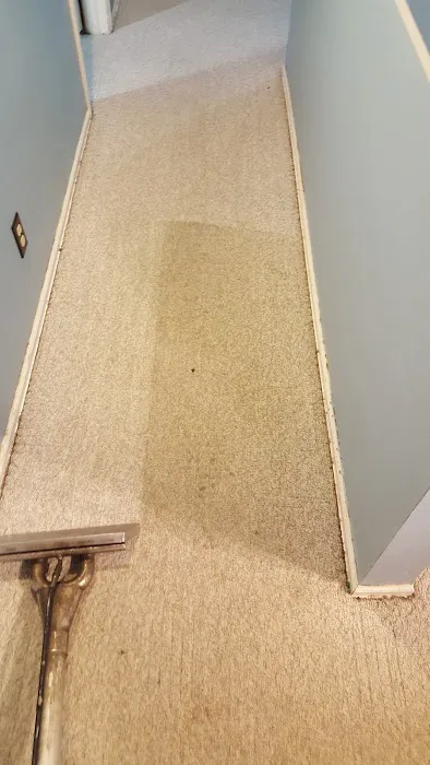 Stanley Steemer Picture 5