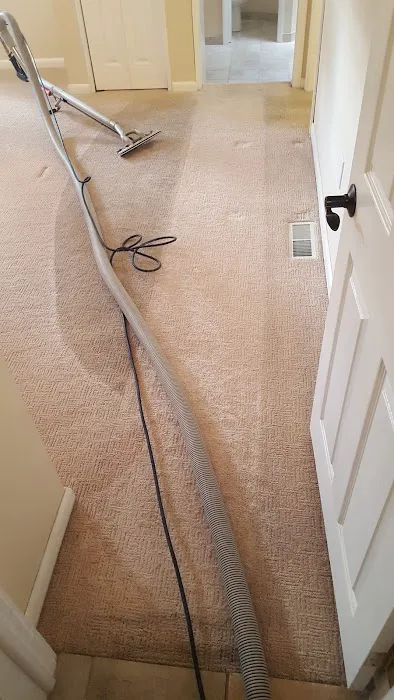 Stanley Steemer Picture 7