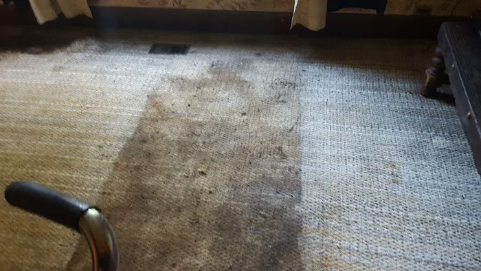 Stanley Steemer Picture 2