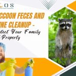 ECOS Environmental & Disaster Restoration, Inc.