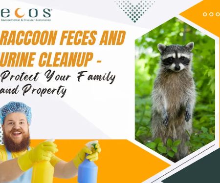 ECOS Environmental & Disaster Restoration, Inc.