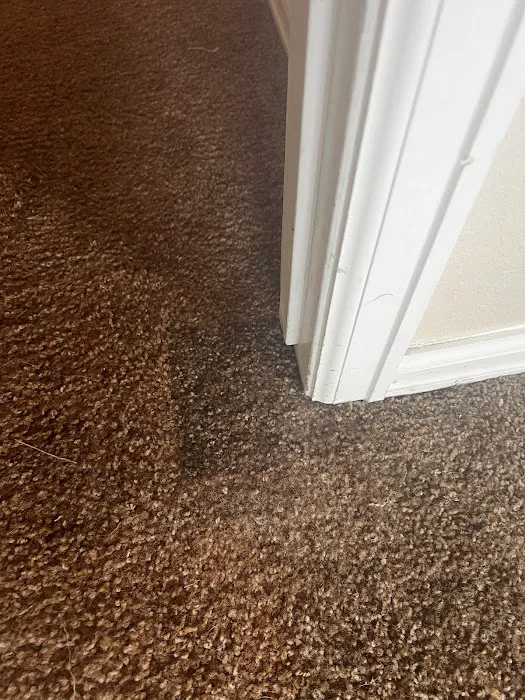 Christian Brothers Carpet & Flood Care Picture 9