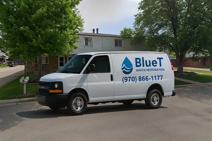 Bluet Water Restoration Ltd Picture 1