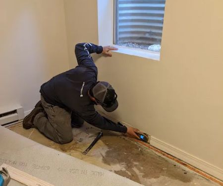 Rapid Dry Restoration