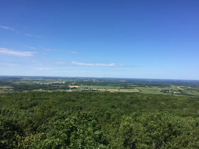 Rapid Dry Restoration Picture 9