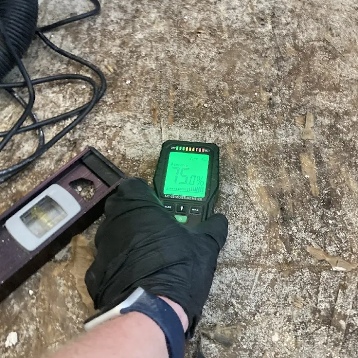 Breathe Pure Solutions Picture 9