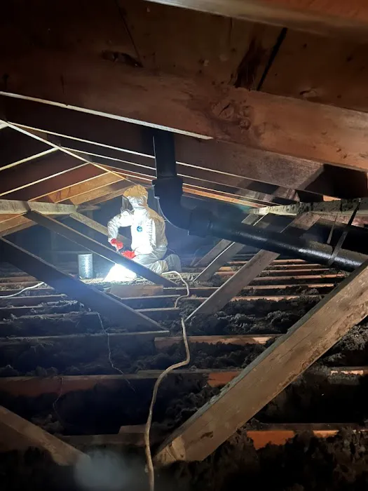 Breathe Pure Solutions Picture 1