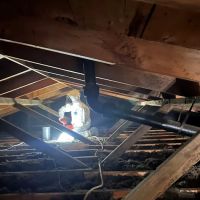 Breathe Pure Solutions ico