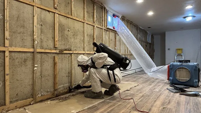 True North Restoration of Northern Colorado Picture 9