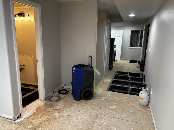 True North Restoration of Northern Colorado Picture 2