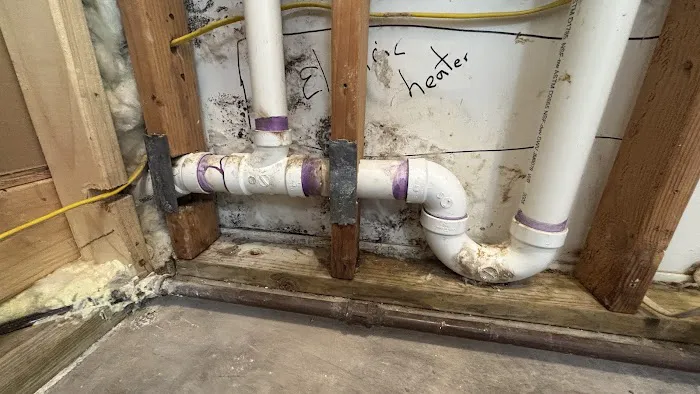 True North Restoration of Northern Colorado Picture 10