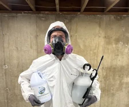 True North Restoration of Northern Colorado