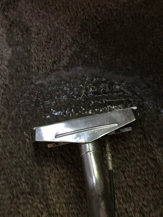 Action Property Services Picture 9