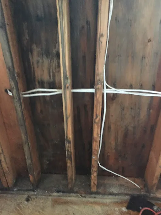 Action Property Services Picture 2