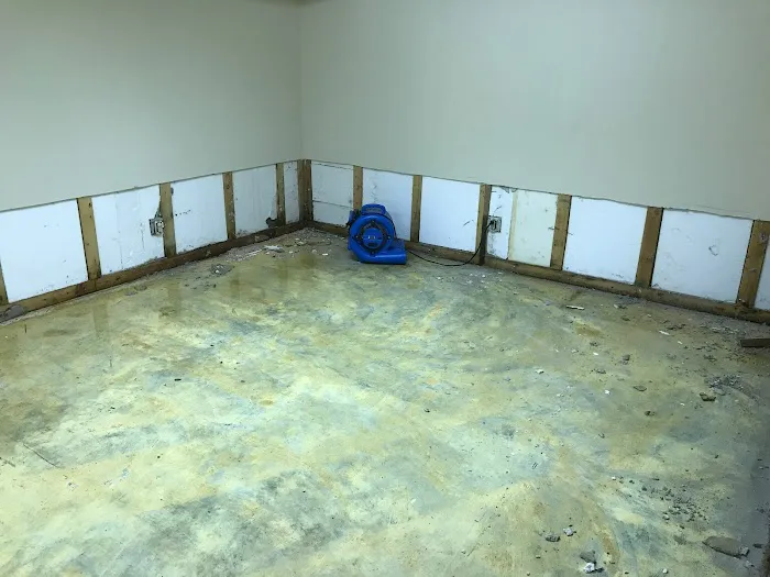 Action Property Services Picture 6