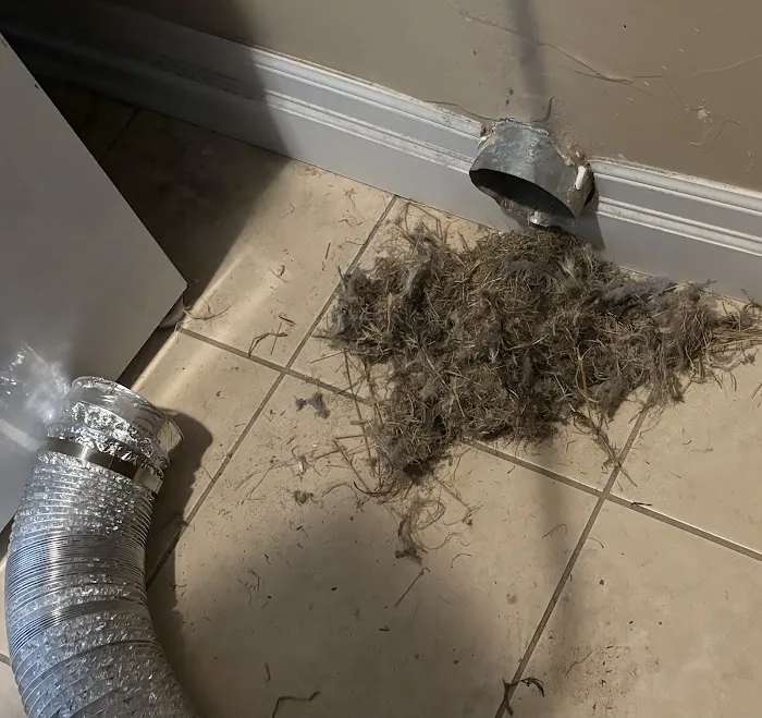 Colorado Clean Living Picture 7