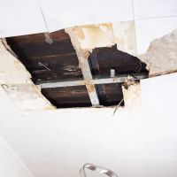 Centennial State ico