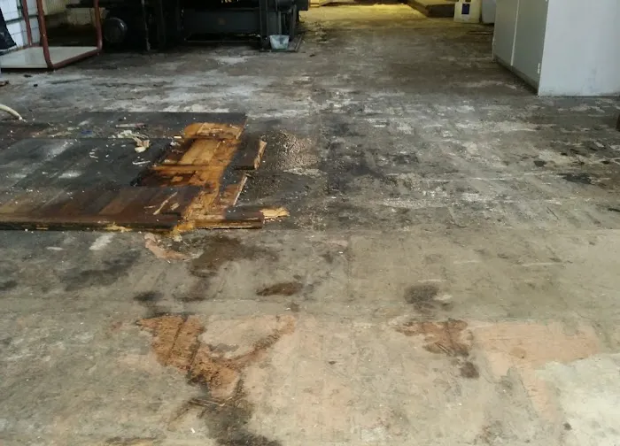 Centennial State Picture 6