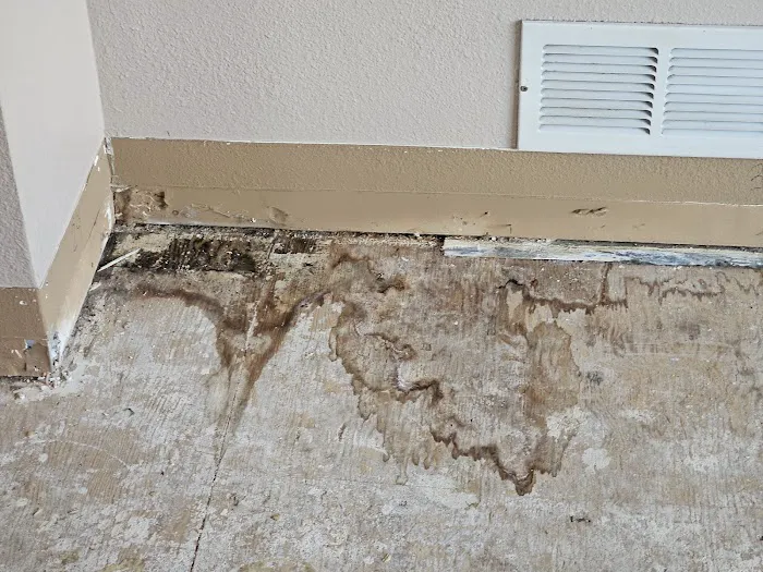 Summit Mitigation Restoration Picture 9