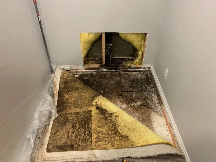 Summit Mitigation Restoration Picture 5