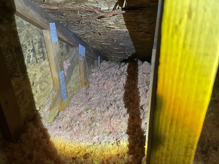 Summit Mitigation Restoration Picture 3