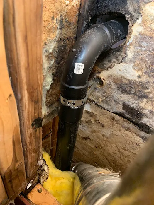 Summit Mitigation Restoration Picture 4