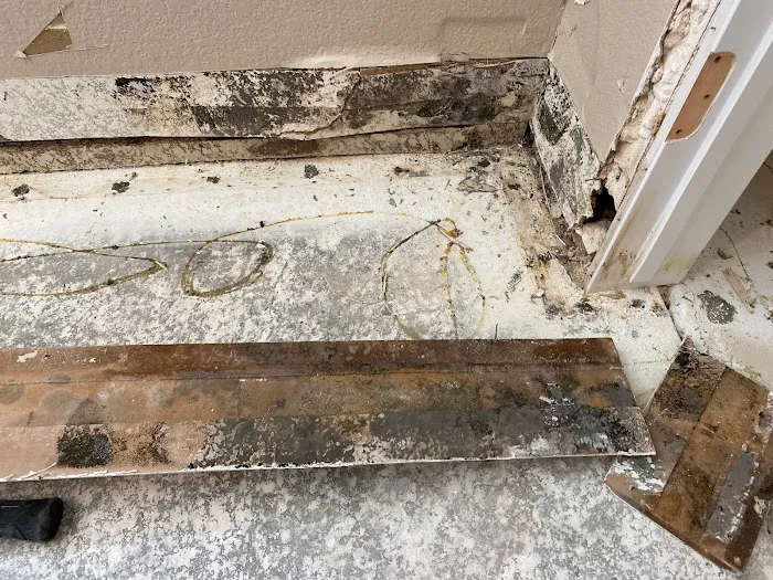 Best Option Restoration of Parker Picture 10