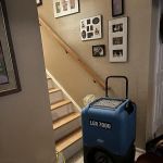 Best Option Restoration of Parker