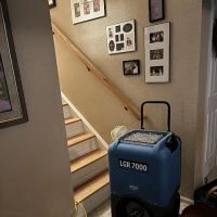 Best Option Restoration of Parker ico