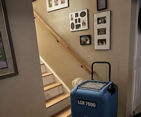 Best Option Restoration of Parker