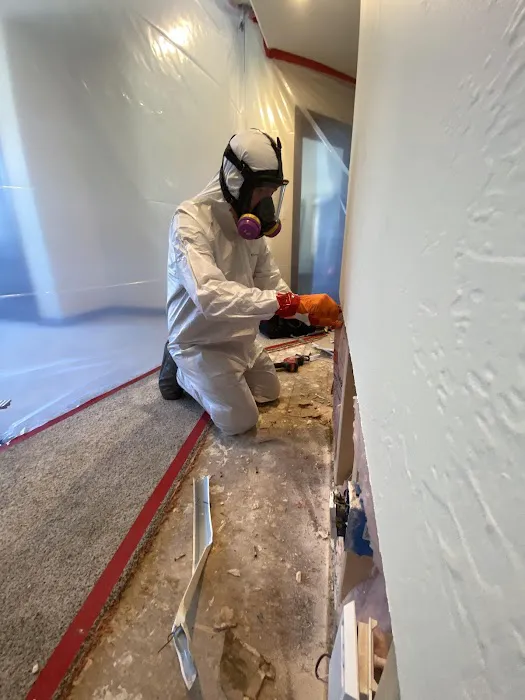 Best Option Restoration of Parker Picture 8