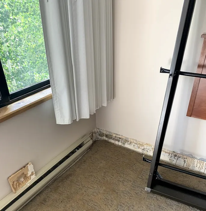 Disaster Reconstruction Services Picture 4