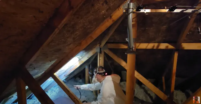 Urgent Mold Remediation San Francisco Picture 1