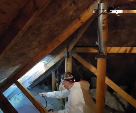 Urgent Mold Remediation San Francisco