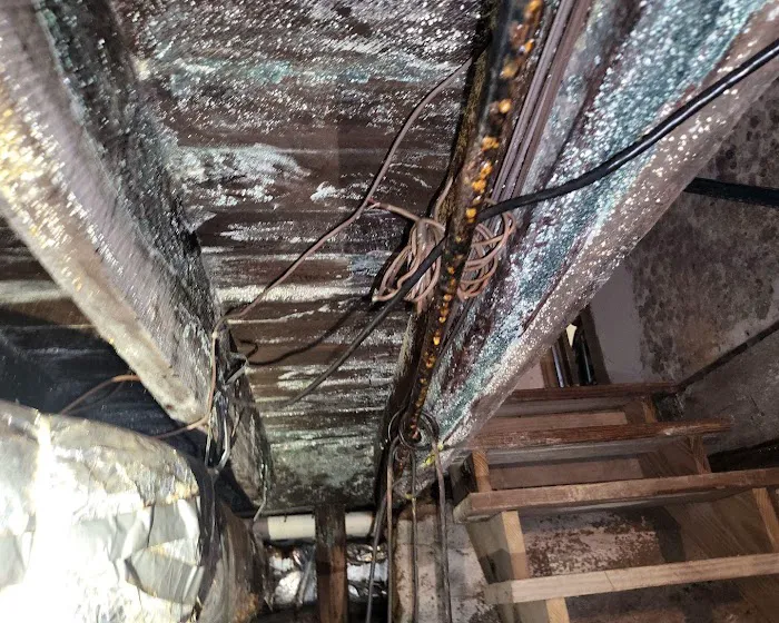 Water Pro Inc Picture 5