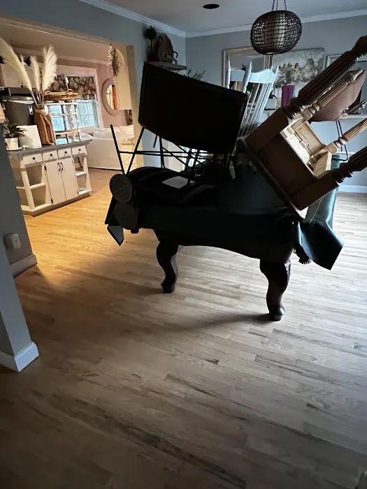 Stanley Steemer Picture 1