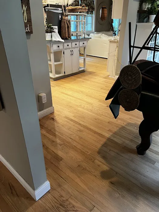 Stanley Steemer Picture 4