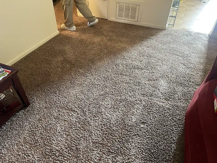 Stanley Steemer Picture 10