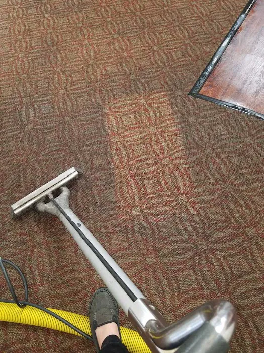 Stanley Steemer Picture 8