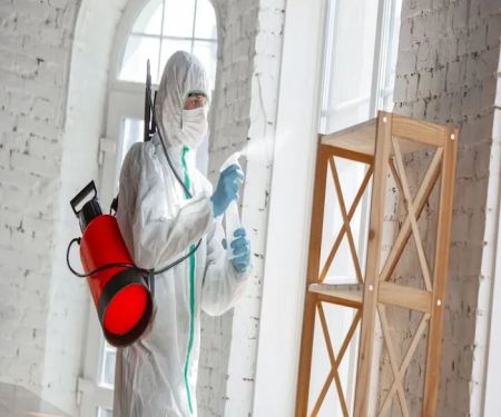 Ross Mold Remediation