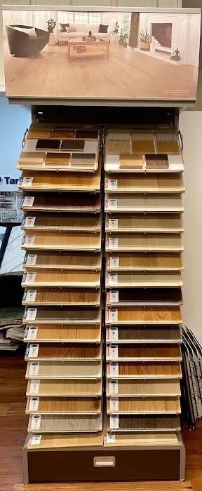 Bloomington Professional Carpet Cleaners a Core Company Picture 4