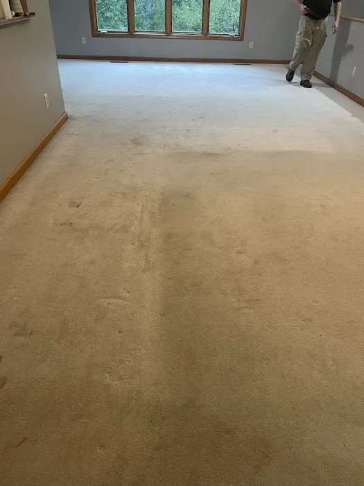 Stanley Steemer Picture 1