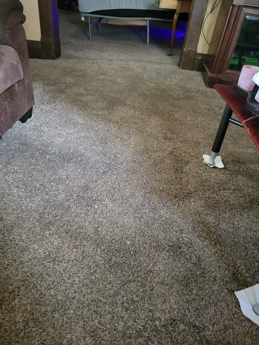 Stanley Steemer Picture 6