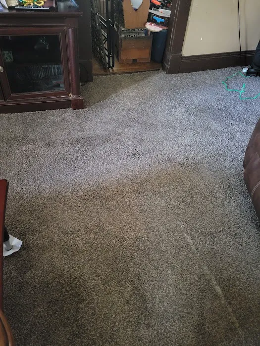 Stanley Steemer Picture 4